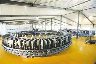 微信圖片_20230203104824.jpg 微信圖片_20230203104824.jpg